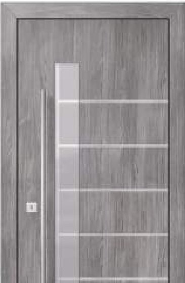Ușă de exterior Drupanel model 2006A