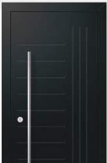 Ușă de exterior Drupanel model 2007