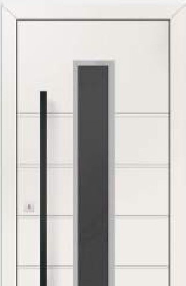 Ușă de exterior Drupanel model 2008A